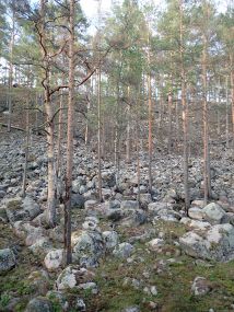 Камни