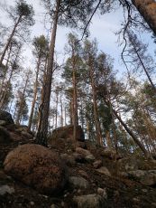 Много камней