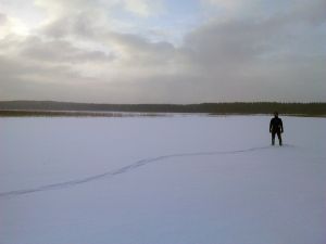 Токсовские просторы