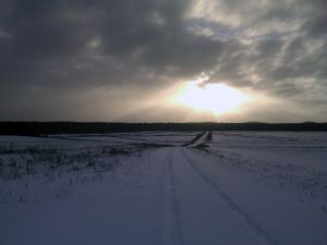 Поля